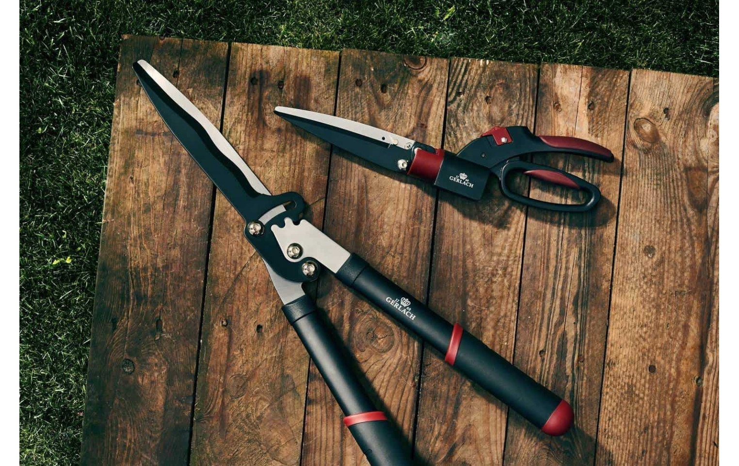 Heckenschneider ASSIST