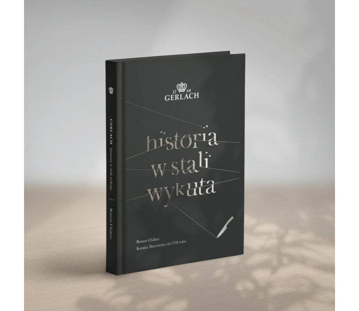 Buch "Geschichte in Stahl gemei&szlig;elt"