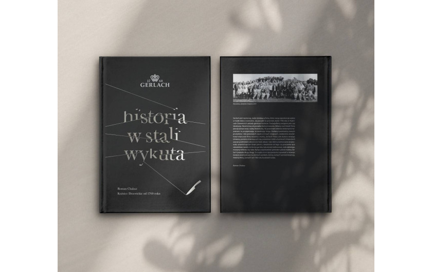 Buch "Geschichte in Stahl gemei&szlig;elt"