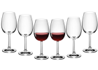FLOW Set aus Weiß- und Rotweingläsern + Karaffe für 6 Personen