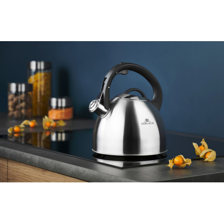Wasserkessel 2,8l AMBIENTE PLUS 2,8l