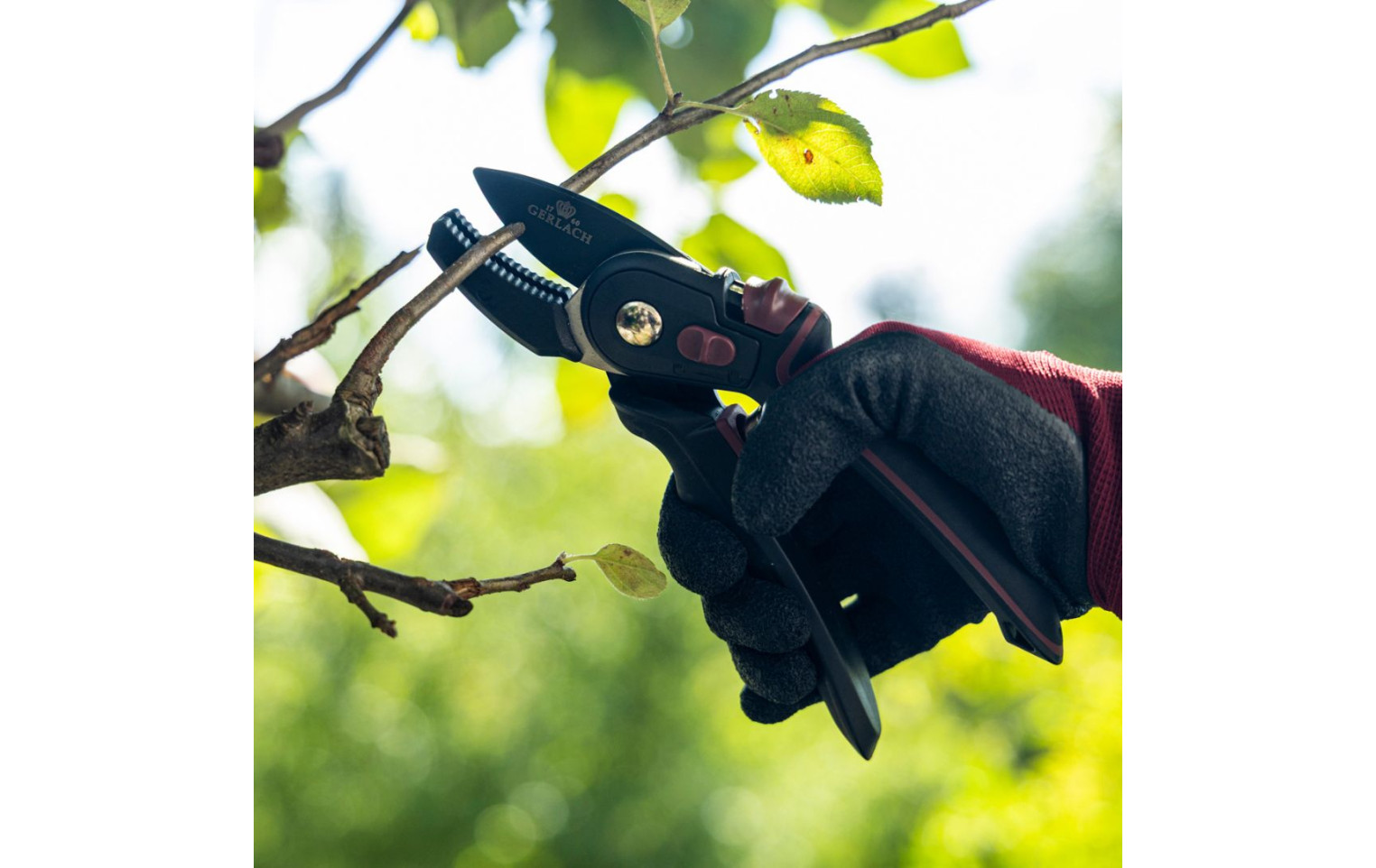 Gartenschere ASSIST