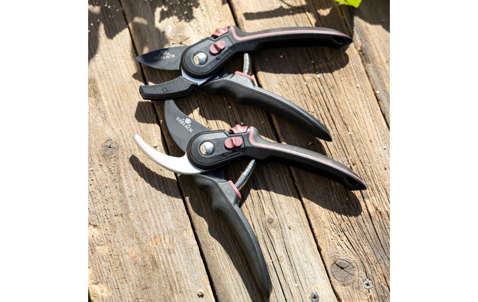 Gartenschere ASSIST